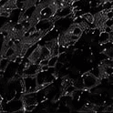 Volcanic rock